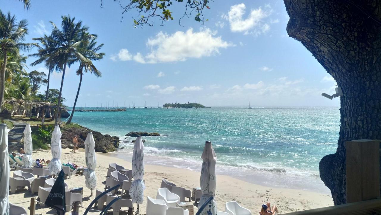 Grand Studio Les Pieds Dans L'Eau, Centre Ville Le Gosier  Bagian luar foto