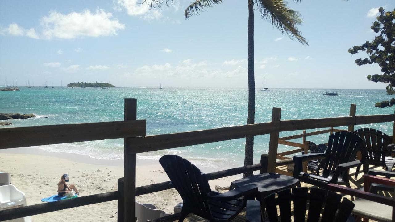 Grand Studio Les Pieds Dans L'Eau, Centre Ville Le Gosier  Bagian luar foto